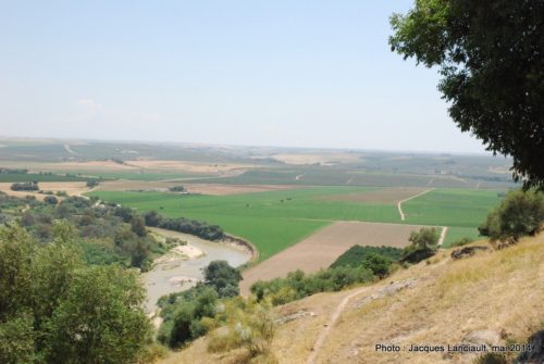 Castillo de Almodóvar, Almodóvar del Río, Andalousie, Espagne