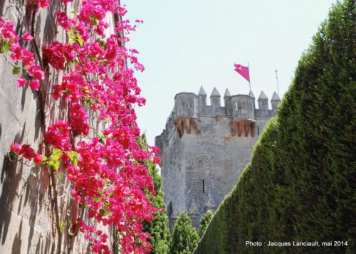 Castillo de Almodóvar, Almodóvar del Río, Andalousie, Espagne