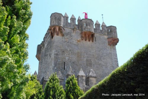 Castillo de Almodóvar, Almodóvar del Río, Andalousie, Espagne