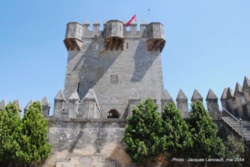 Castillo de Almodóvar, Almodóvar del Río, Andalousie, Espagne