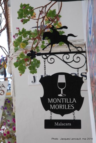 La Judería, Cordoue, Andalousie, Espagne