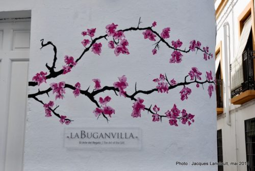 La Judería, Cordoue, Andalousie, Espagne