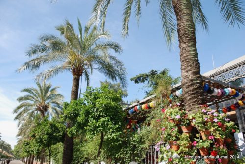 Mercado Victoria, Cordoue, Andalousie, Espagne