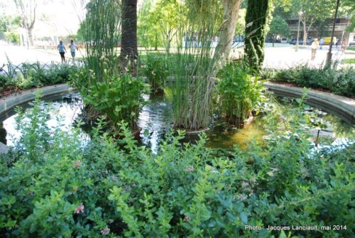 Jardines de los Patos, Cordoue, Andalousie, Espagne