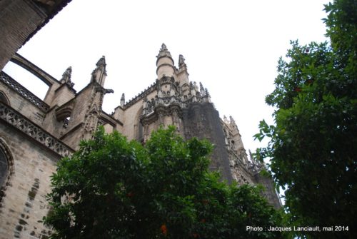 Cathédrale Notre-Dame du Siège, Séville, Andalousie, Espagne