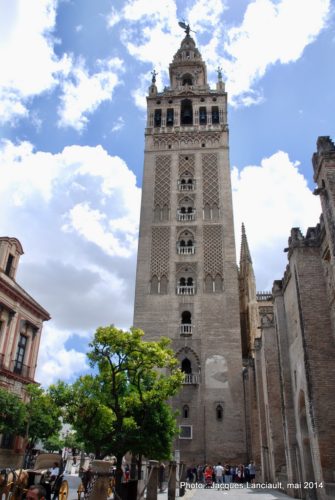 Giralda, plaza Virgen de los Reyes, Séville, Andalousie, Espagne