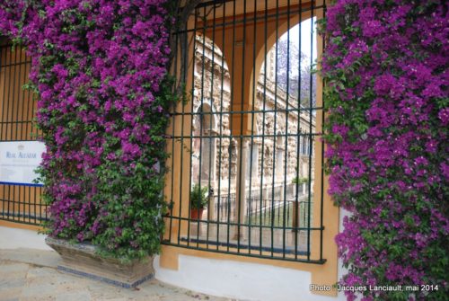 Patio del Crucero, Real Alcázar, Séville, Andalousie, Espagne