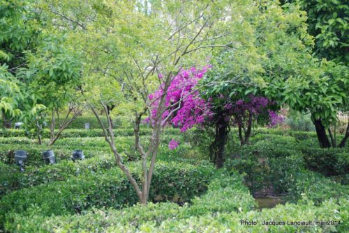 Jardin de Troya, Real Alcázar, Séville, Andalousie, Espagne