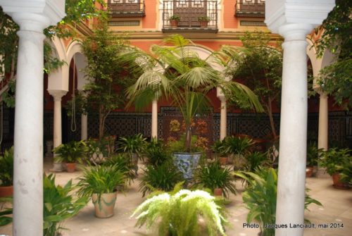 La Casa del Flamenco, Hôtel Alcántara, Séville, Andalousie, Espagne