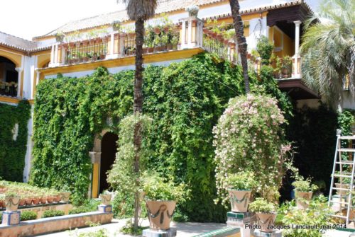 Casa de Pilatos, Séville, Andalousie, Espagne