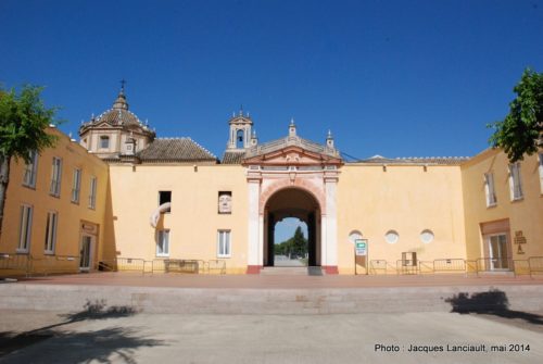 Centro Andaluz de Arte Contemporáneo, Séville, Andalousie, Espagne