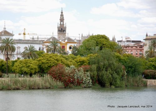 Giralda, Séville, Andalousie, Espagne