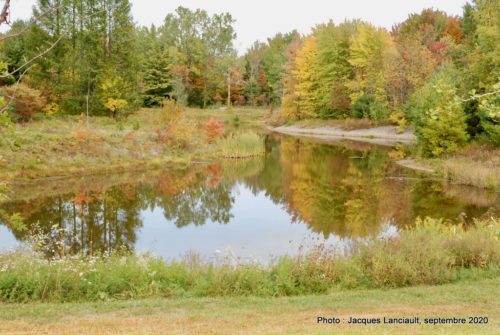Boisé du Plan Bouchard, Blainville, Québec