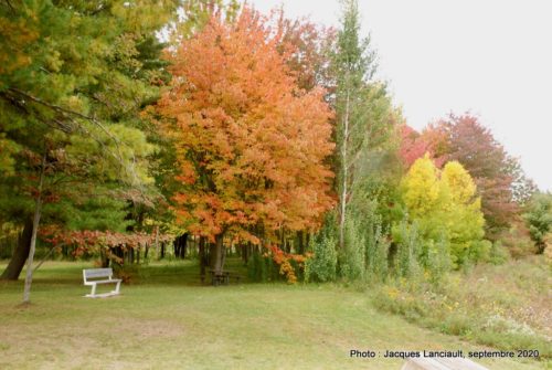 Boisé du Plan Bouchard, Blainville, Québec