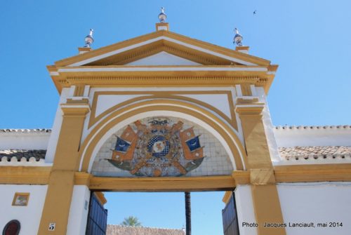 Palacio de las Dueñas, Séville, Andalousie, Espagne