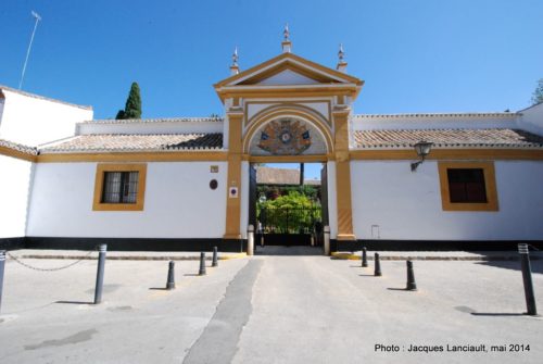 Palacio de las Dueñas, Séville, Andalousie, Espagne