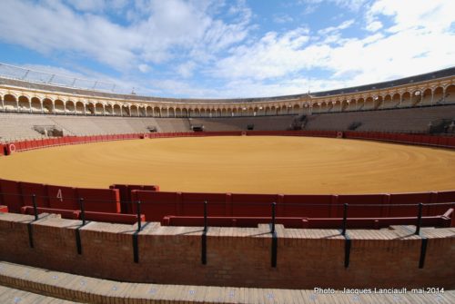 Plaza de Toros de la Maestranza, Séville, Andalousie, Espagne