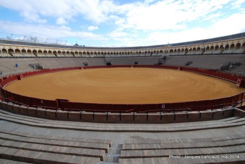 Plaza de Toros de la Maestranza de Sevilla, Séville, Andalousie, Espagne
