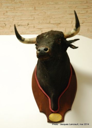 Musée de la plaza de Toros de la Maestranza de Sevilla, Séville, Andalousie, Espagne
