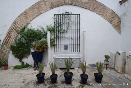 Jardins, Hospital de la Santa Caridad, Séville, Andalousie, Espagne