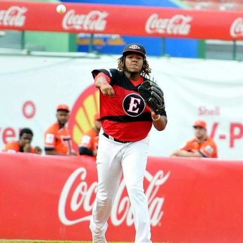 Vladimir Guerrero jr, Leones del Escogido