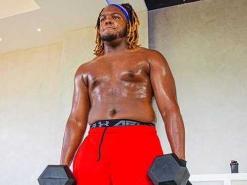 Vladimir Guerrero jr