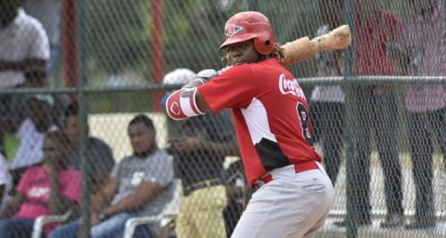 Vladimir Guerrero jr Leones del Escogido