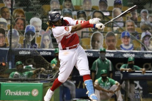 Vladimir Guerrero jr, />Leones del Escogido