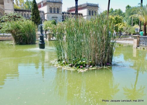 Parque de María Luisa, Séville, Andalousie, Espagne