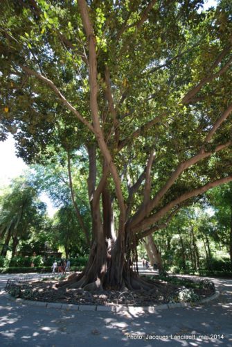 Parque de María Luisa, Séville, Andalousie, Espagne