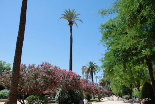 Paseo de Catalina de Ribera, Séville, Andalousie, Espagne