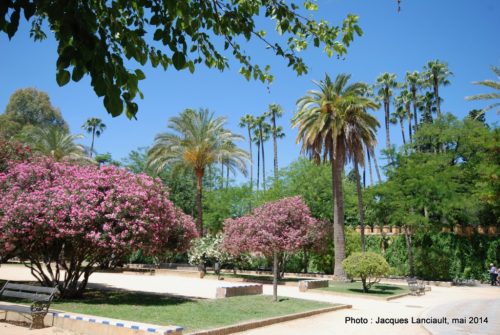 Paseo de Catalina de Ribera, Séville, Andalousie, Espagne