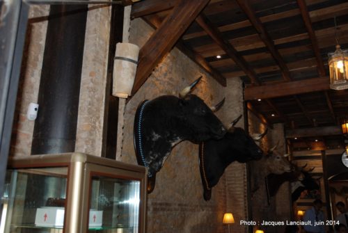 O’Neill’s Irish Pub, Séville, Andalousie, Espagne