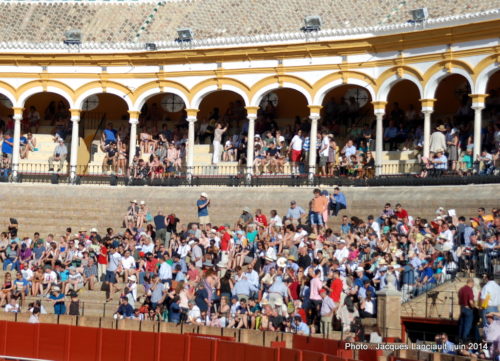 Plaza de Toros de la Real Maestranza de Caballería de Sevilla, Séville, Andalousie, Espagne
