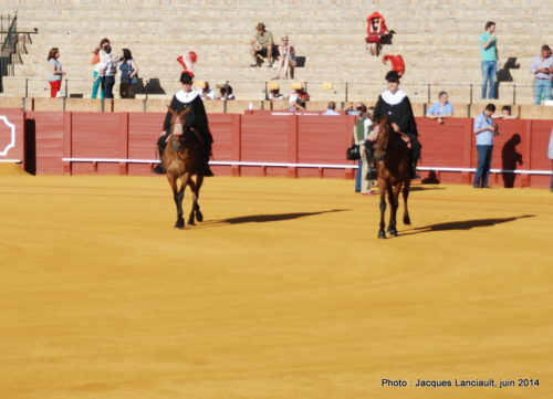 Plaza de Toros de la Real Maestranza de Caballería de Sevilla, Séville, Andalousie, Espagne