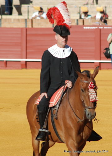 Plaza de Toros de la Real Maestranza de Caballería de Sevilla, Séville, Andalousie, Espagne