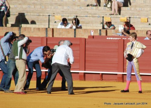 Plaza de Toros de la Real Maestranza de Caballería de Sevilla, Séville, Andalousie, Espagne