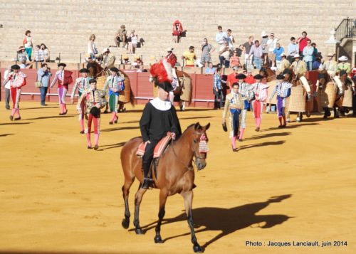 Plaza de Toros de la Real Maestranza de Caballería de Sevilla, Séville, Andalousie, Espagne