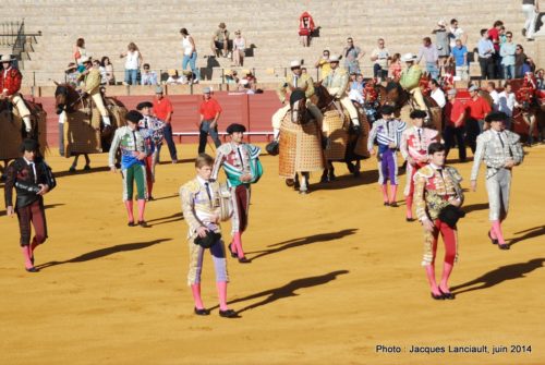 Plaza de Toros de la Real Maestranza de Caballería de Sevilla, Séville, Andalousie, Espagne