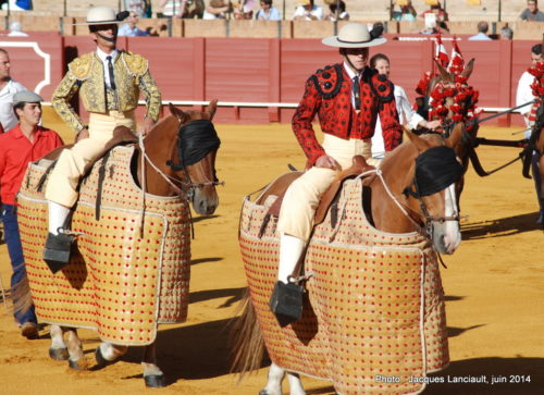 Plaza de Toros de la Real Maestranza de Caballería de Sevilla, Séville, Andalousie, Espagne