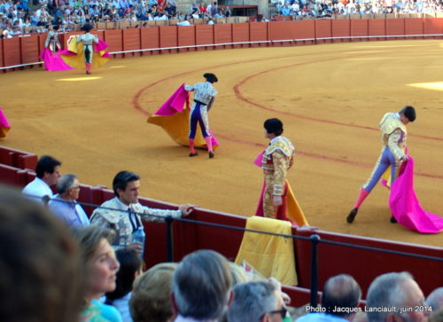 Plaza de Toros de la Real Maestranza de Caballería de Sevilla, Séville, Andalousie, Espagne
