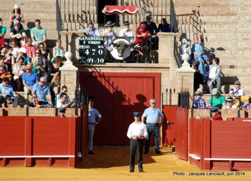 Plaza de Toros de la Real Maestranza de Caballería de Sevilla, Séville, Andalousie, Espagne