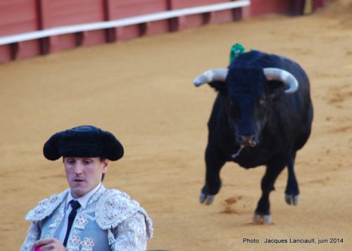 Plaza de Toros de la Real Maestranza de Caballería de Sevilla, Séville, Andalousie, Espagne
