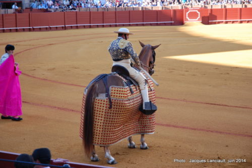 Plaza de Toros de la Real Maestranza de Caballería de Sevilla, Séville, Andalousie, Espagne