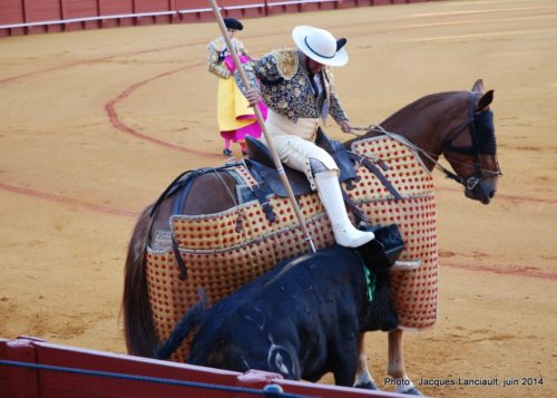 Plaza de Toros de la Real Maestranza de Caballería de Sevilla, Séville, Andalousie, Espagne