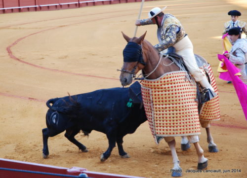 Plaza de Toros de la Real Maestranza de Caballería de Sevilla, Séville, Andalousie, Espagne