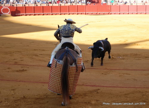 Plaza de Toros de la Real Maestranza de Caballería de Sevilla, Séville, Andalousie, Espagne
