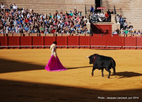 Plaza de Toros de la Real Maestranza de Caballería de Sevilla, Séville, Andalousie, Espagne