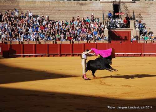 Plaza de Toros de la Real Maestranza de Caballería de Sevilla, Séville, Andalousie, Espagne