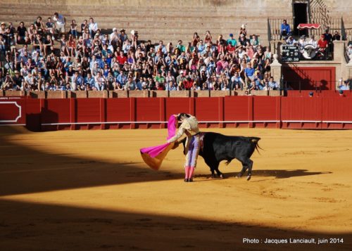 Plaza de Toros de la Real Maestranza de Caballería de Sevilla, Séville, Andalousie, Espagne
